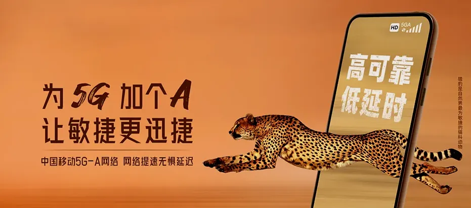 那坡县那坡县百南乡 移动宽带